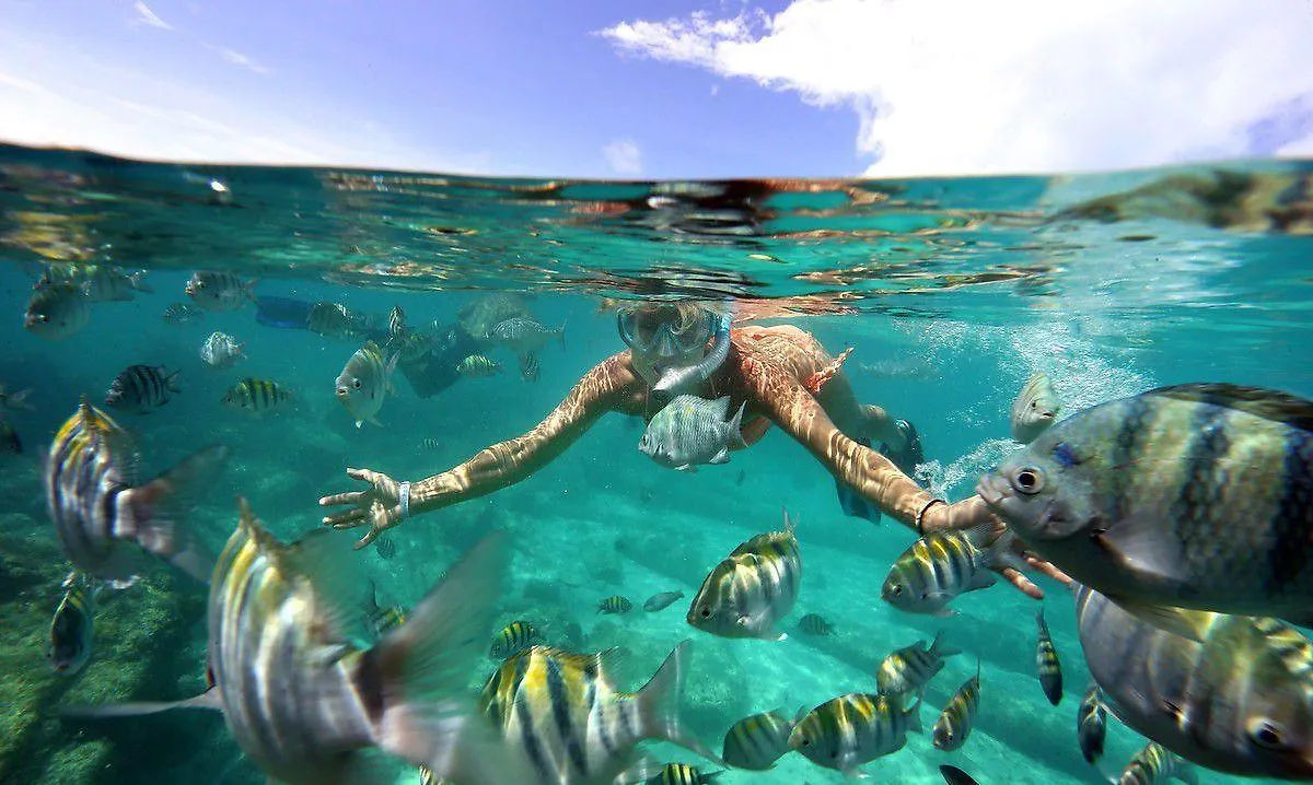Mia Reef Isla Mujeres Cancun All Inclusive Resort
